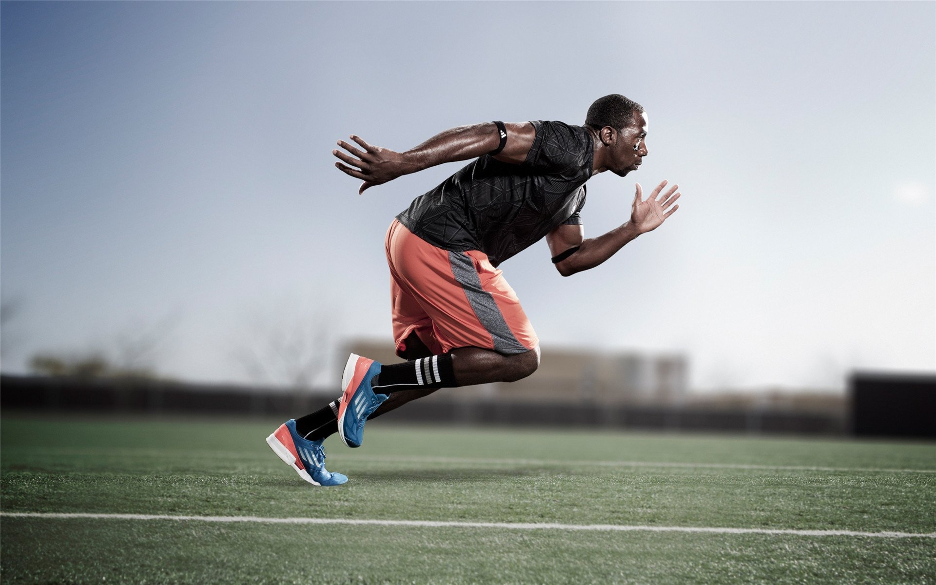 《行业大会热议：电竞行业未来政策导向》，电竞行业的现状和未来的发展的趋势